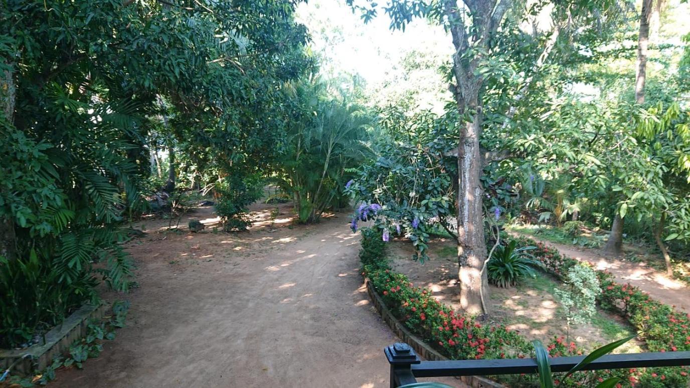 Leopard City Hostel Yala Tissamaharama Dış mekan fotoğraf