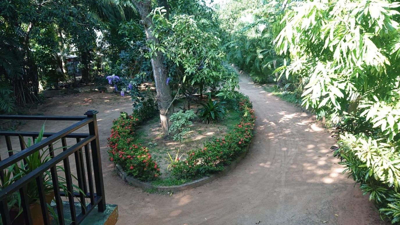 Leopard City Hostel Yala Tissamaharama Dış mekan fotoğraf