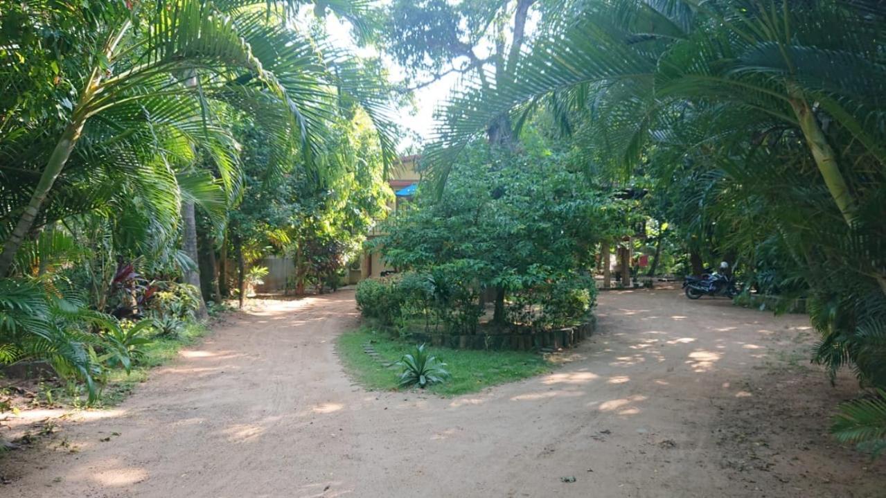Leopard City Hostel Yala Tissamaharama Dış mekan fotoğraf